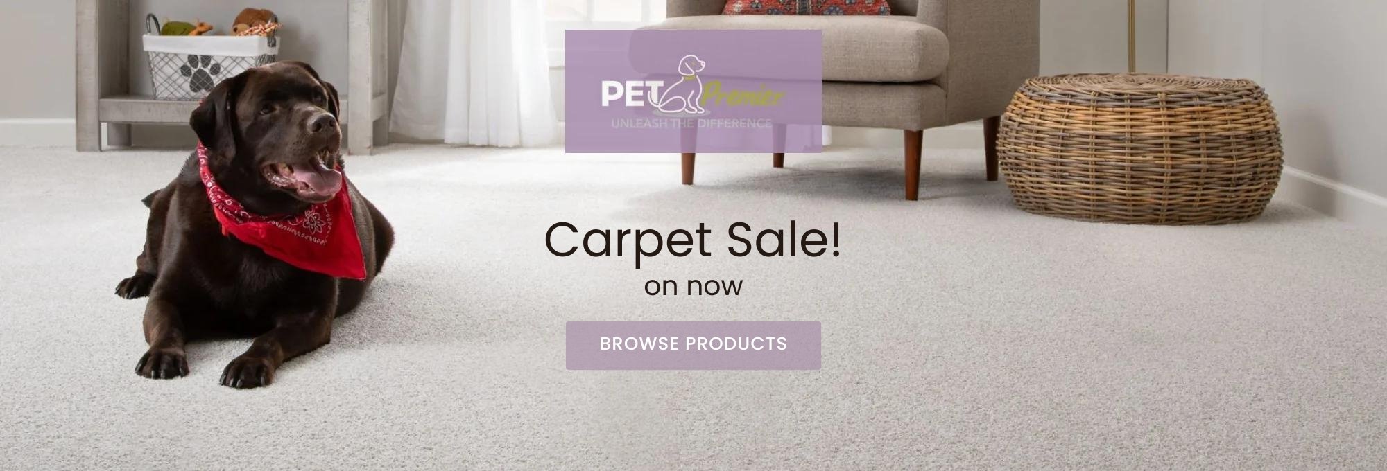 Pet-Friendly, Sustainable Carpet